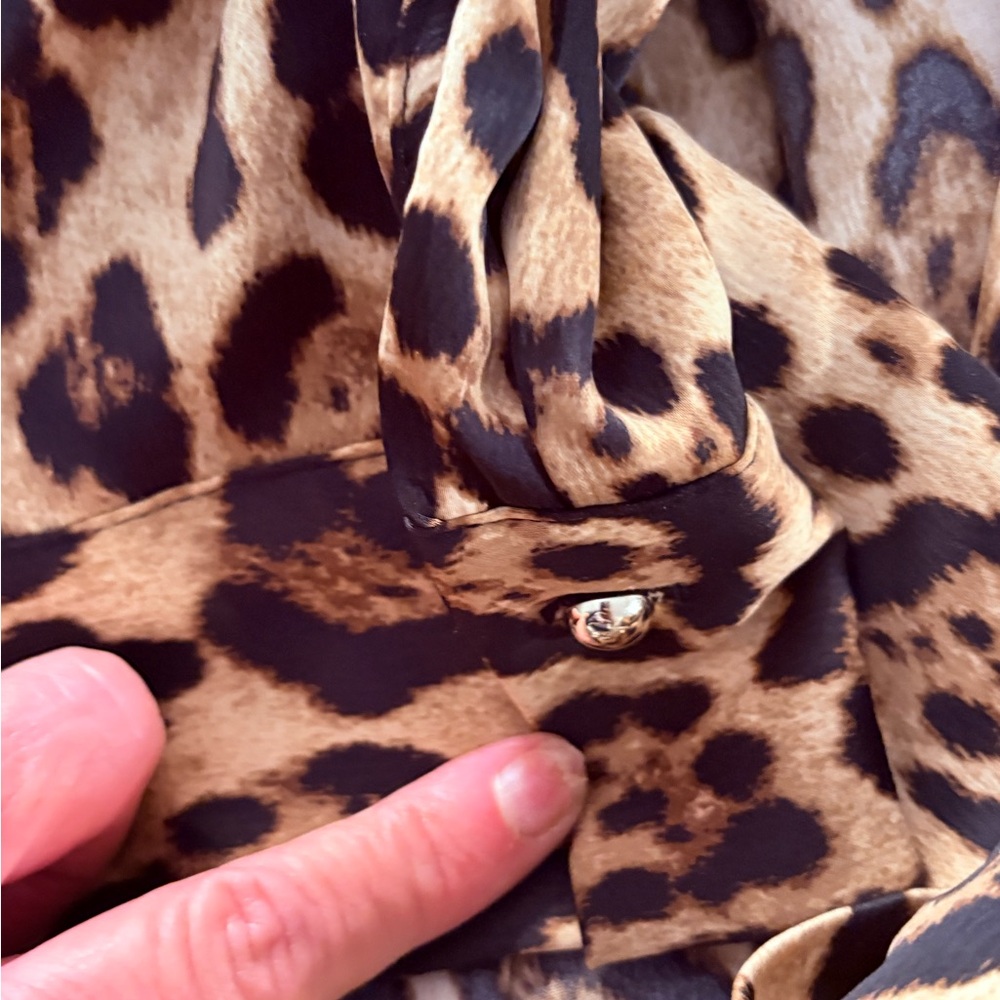 Leopard Print Wrap Dress - Picture 4 of 6